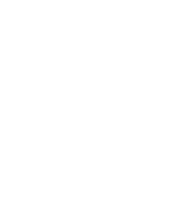 Geiger Insurance
